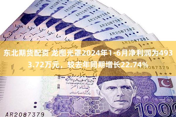 东北期货配资 龙图光罩2024年1-6月净利润为4933.72万元，较去年同期增长22.74%