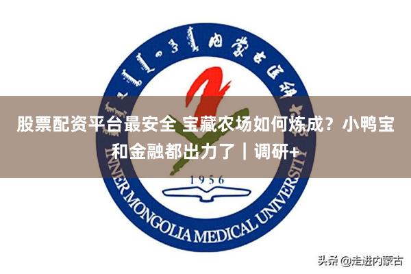 股票配资平台最安全 宝藏农场如何炼成？小鸭宝和金融都出力了｜调研+