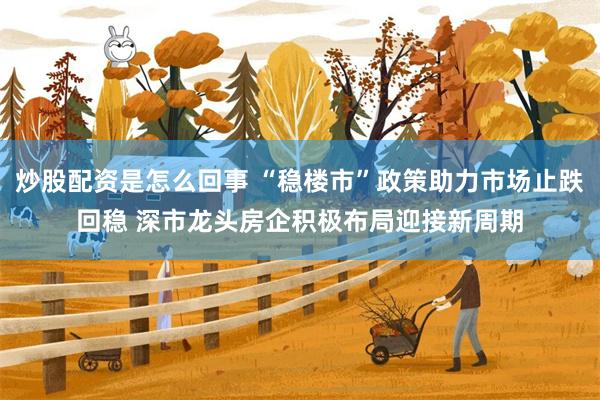炒股配资是怎么回事 “稳楼市”政策助力市场止跌回稳 深市龙头房企积极布局迎接新周期