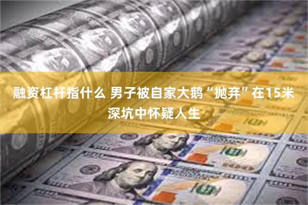 融资杠杆指什么 男子被自家大鹅“抛弃”在15米深坑中怀疑人生