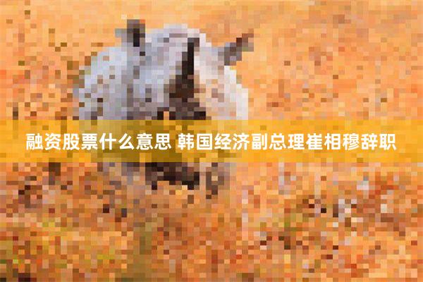 融资股票什么意思 韩国经济副总理崔相穆辞职