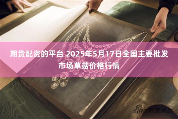 期货配资的平台 2025年5月17日全国主要批发市场草菇价格行情
