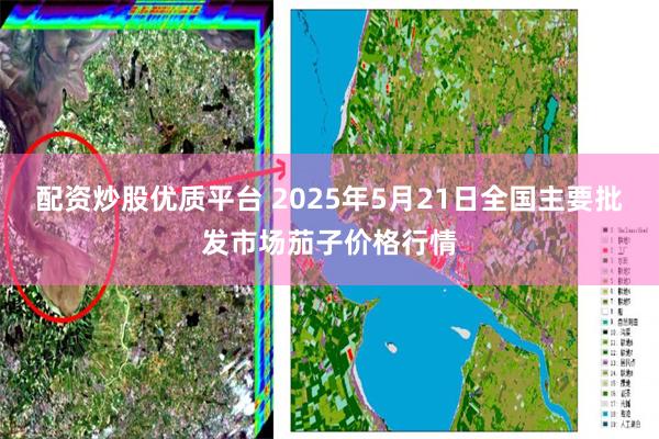 配资炒股优质平台 2025年5月21日全国主要批发市场茄子价格行情