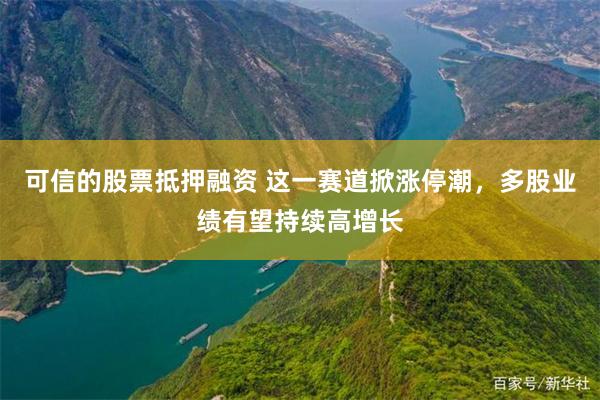 可信的股票抵押融资 这一赛道掀涨停潮，多股业绩有望持续高增长