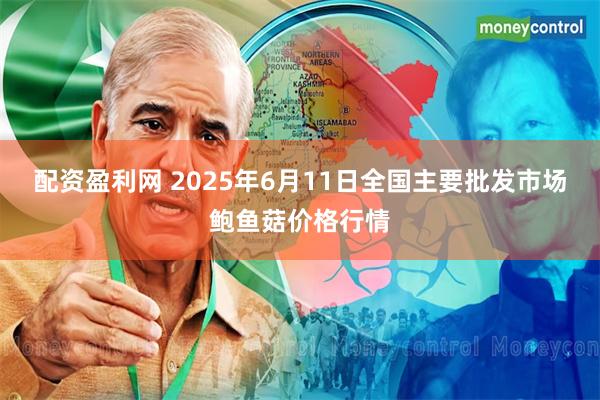 配资盈利网 2025年6月11日全国主要批发市场鲍鱼菇价格行情