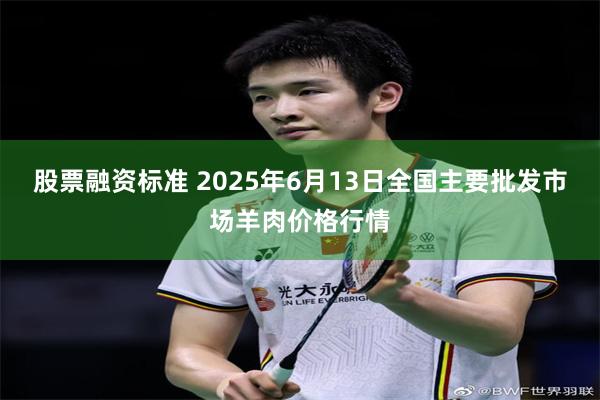 股票融资标准 2025年6月13日全国主要批发市场羊肉价格行情
