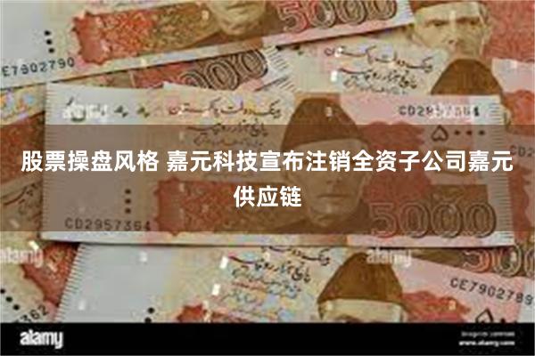 股票操盘风格 嘉元科技宣布注销全资子公司嘉元供应链