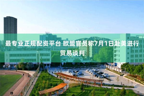 最专业正规配资平台 欧盟官员称7月1日赴美进行贸易谈判