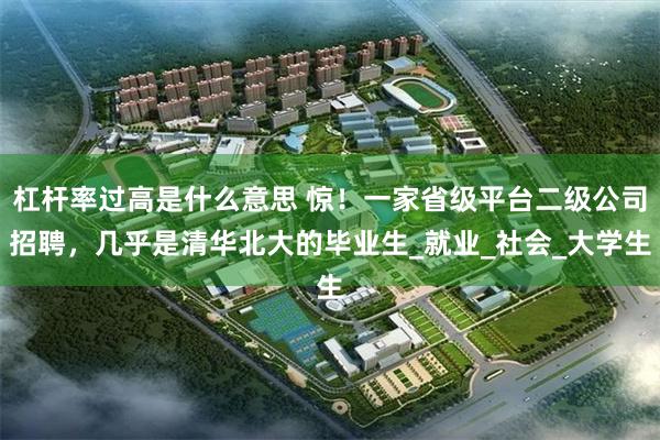 杠杆率过高是什么意思 惊！一家省级平台二级公司招聘，几乎是清华北大的毕业生_就业_社会_大学生