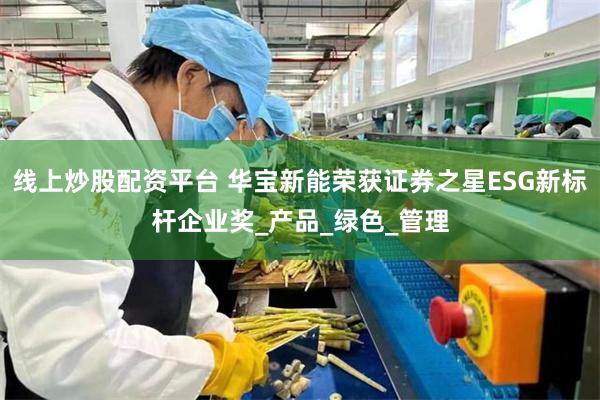 线上炒股配资平台 华宝新能荣获证券之星ESG新标杆企业奖_产品_绿色_管理