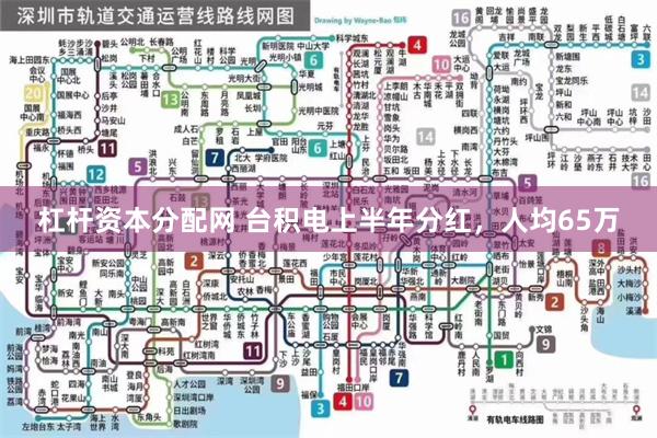 杠杆资本分配网 台积电上半年分红，人均65万